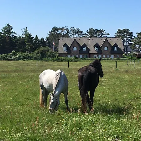 Apartman Angekommen Wenningstedt-Braderup (Sylt)